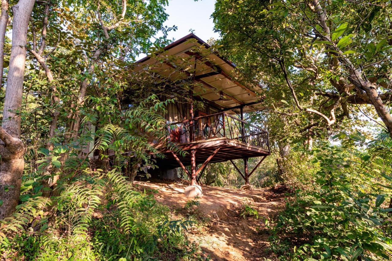 Kanha Jungle Camp المظهر الخارجي الصورة