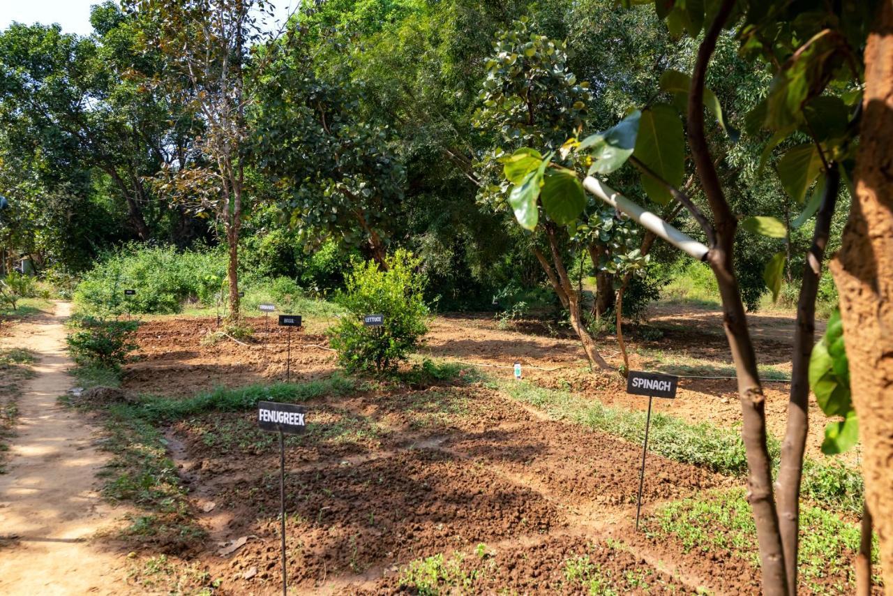 Kanha Jungle Camp المظهر الخارجي الصورة