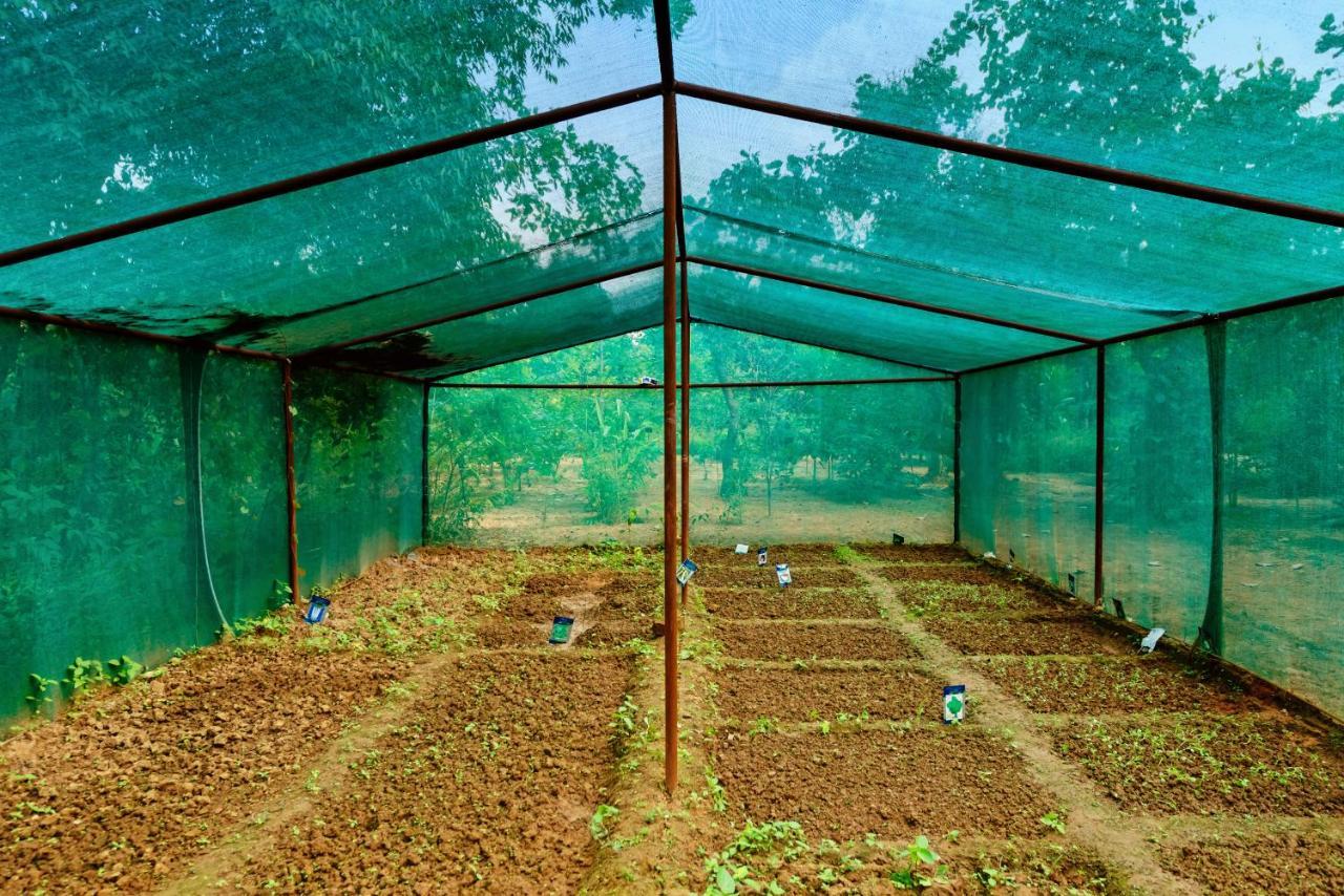 Kanha Jungle Camp المظهر الخارجي الصورة