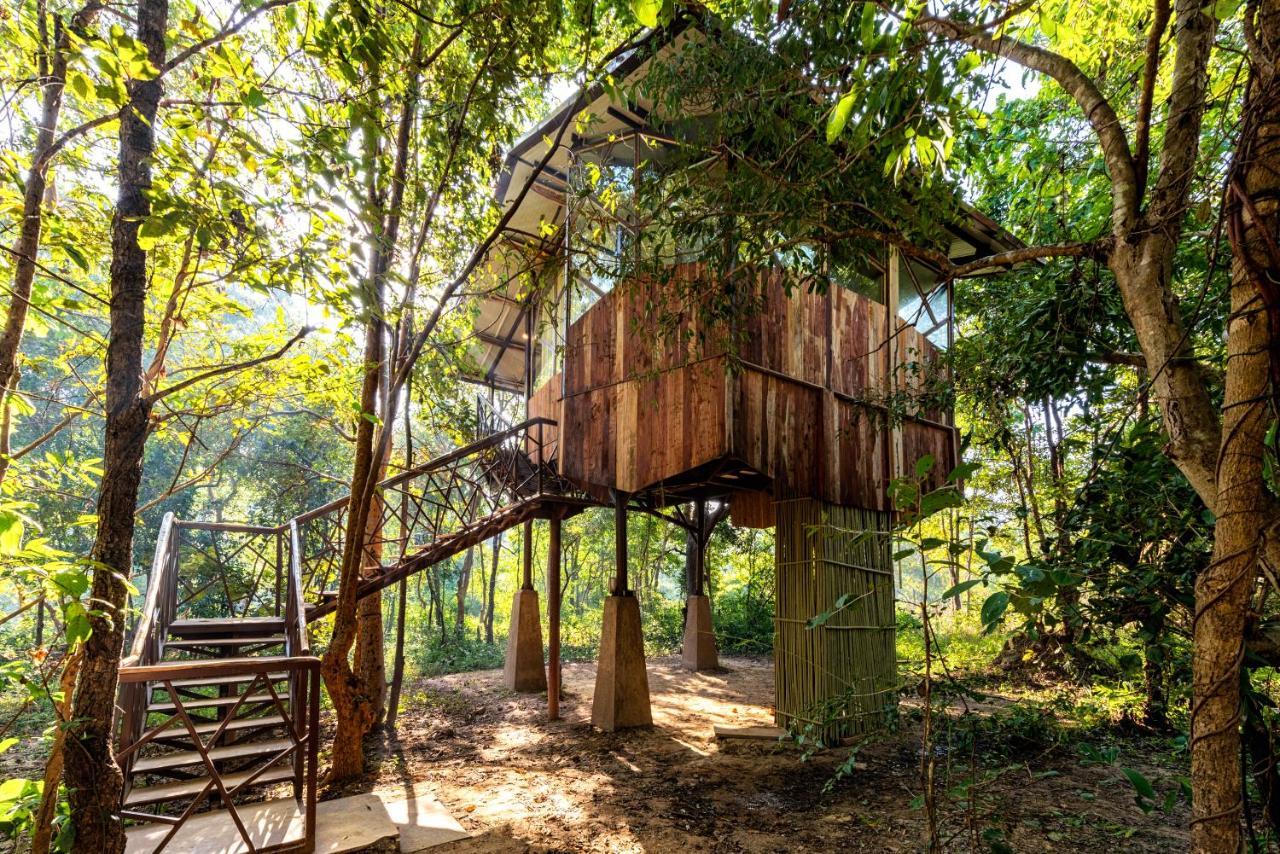 Kanha Jungle Camp المظهر الخارجي الصورة