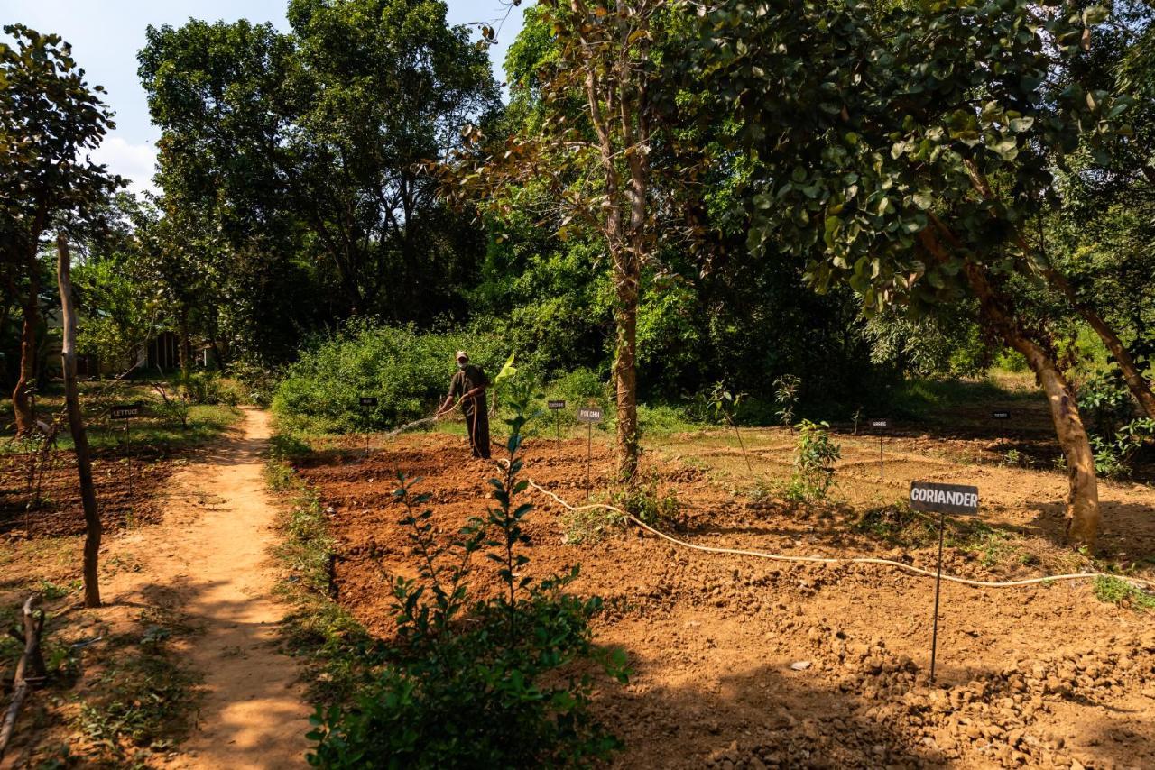 Kanha Jungle Camp المظهر الخارجي الصورة